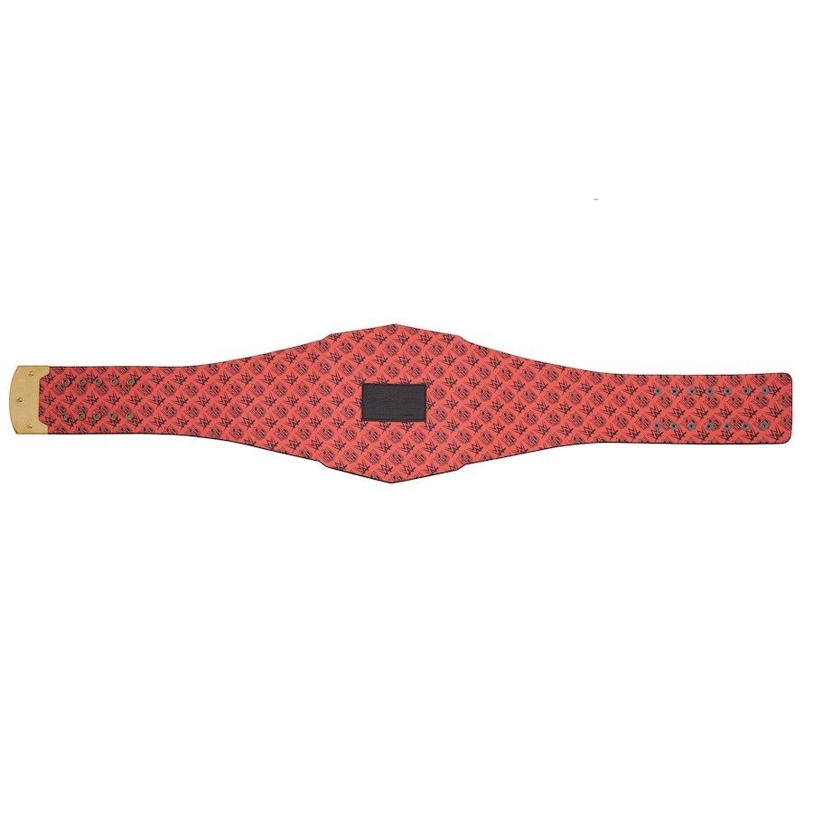 San Francisco 49ers WWE Legacy Title Belt